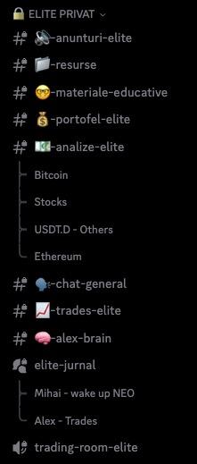 Discord Elite Privat - structura canalelor
